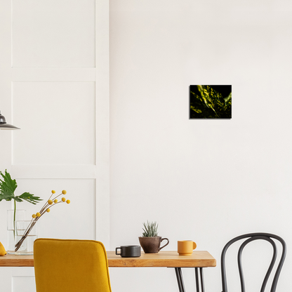 Aucuba - Canvas Print
