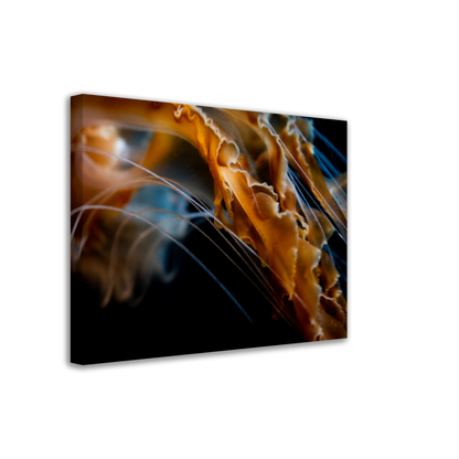 Sea Jelly Tentacles- Canvas