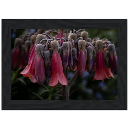 Mother of 1000 Flowers - Wooden Framed Poster