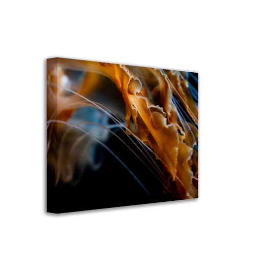 Sea Jelly Tentacles- Canvas