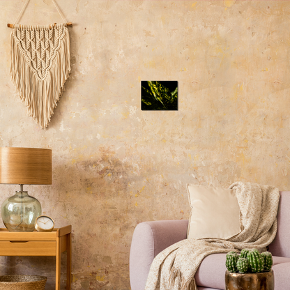 Aucuba - Canvas Print