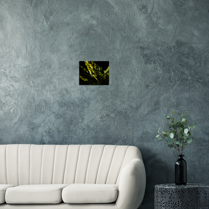 Aucuba - Canvas Print