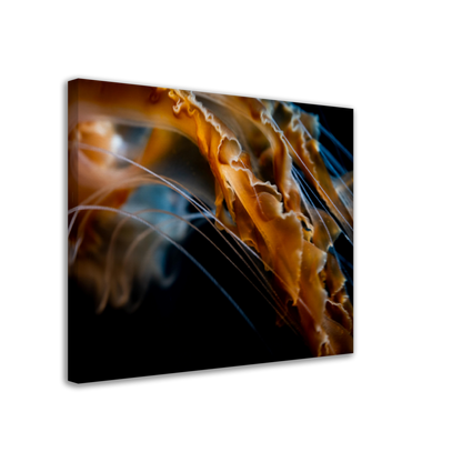 Sea Jelly Tentacles- Canvas