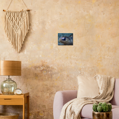 Sea Turtle - Canvas Print
