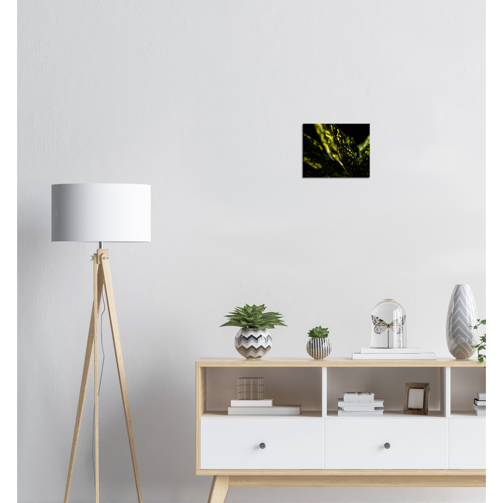 Aucuba - Canvas Print